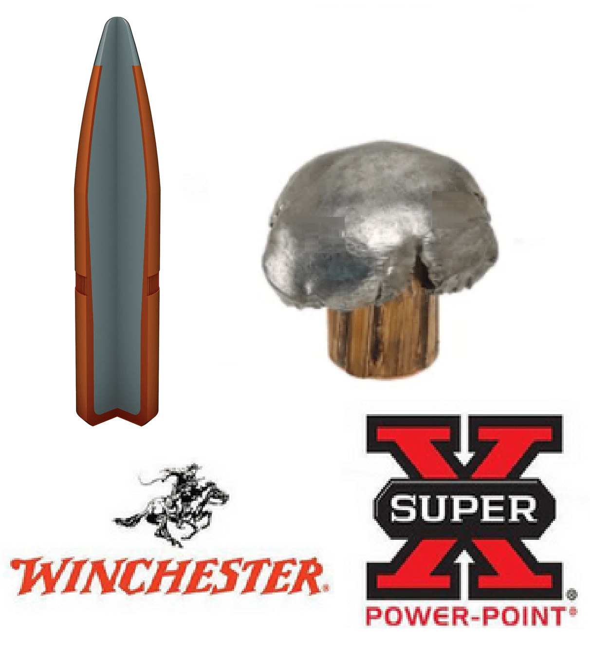 Winchester 3006 Power point